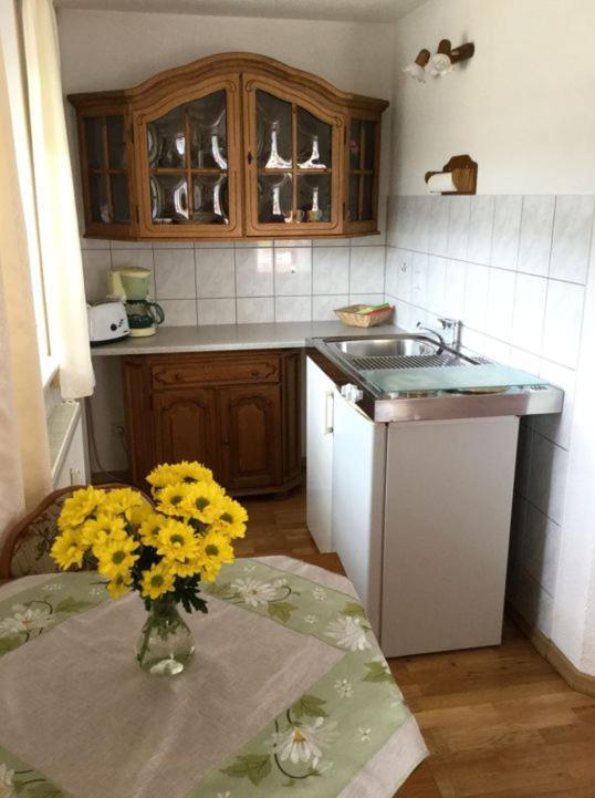 Pension Elblinge Appartement Prossen Buitenkant foto