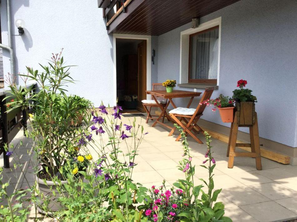 Pension Elblinge Appartement Prossen Buitenkant foto